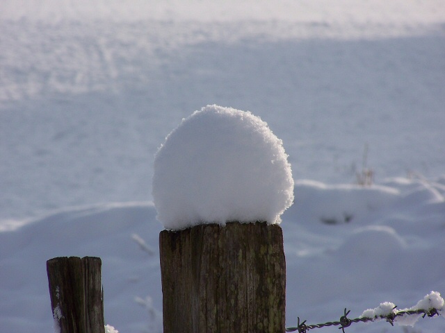 Boule de neige - Le Bény-Bocage - Calvados