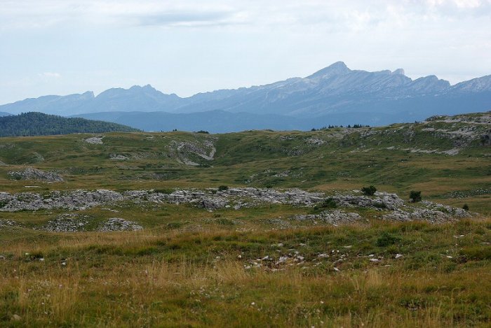 Plateau - Font d'Urle (Vercors)